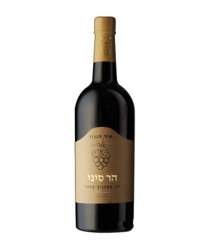 אור הגנוז - הר סיני | בד"ץ