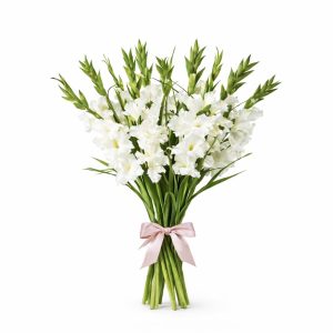 זר סייפנים מרהיב