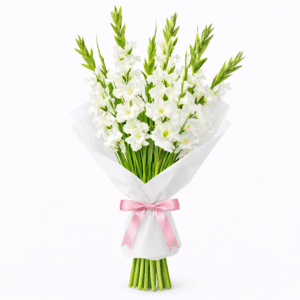 זר סייפנים מרהיב