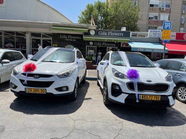 קישוט רכבים במבחר צבעים