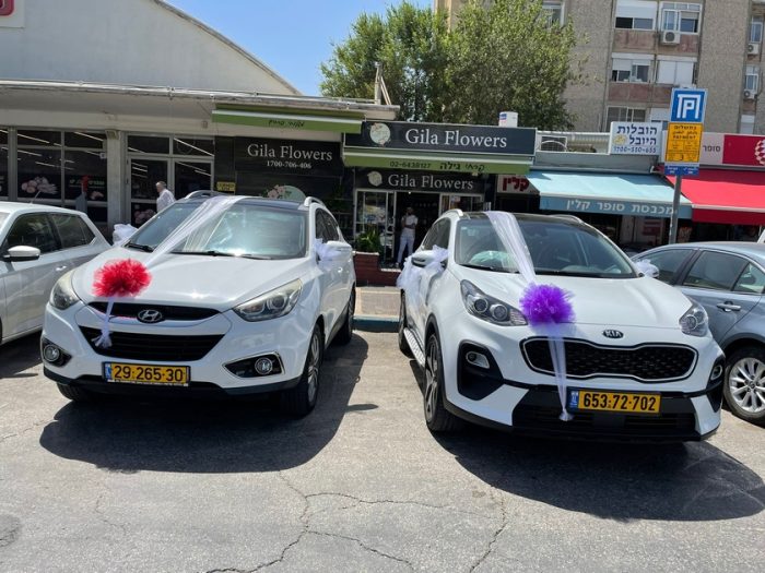 קישוט רכבים במבחר צבעים