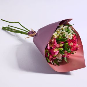 זר אלסטרומריה קטן