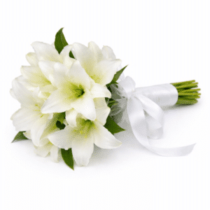 זר כלה הלנה