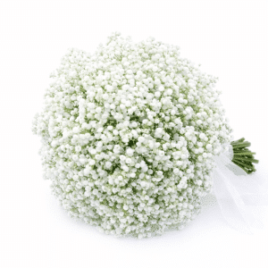 זר כלה לואיזה