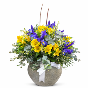 סידור פרחים אלגנטיות רכה