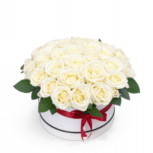 Pure Ivory Signature