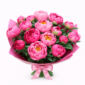 פינק פיונים קלאסי