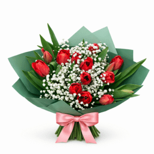 טוליפ רומנטיקו